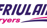 logo fliulair